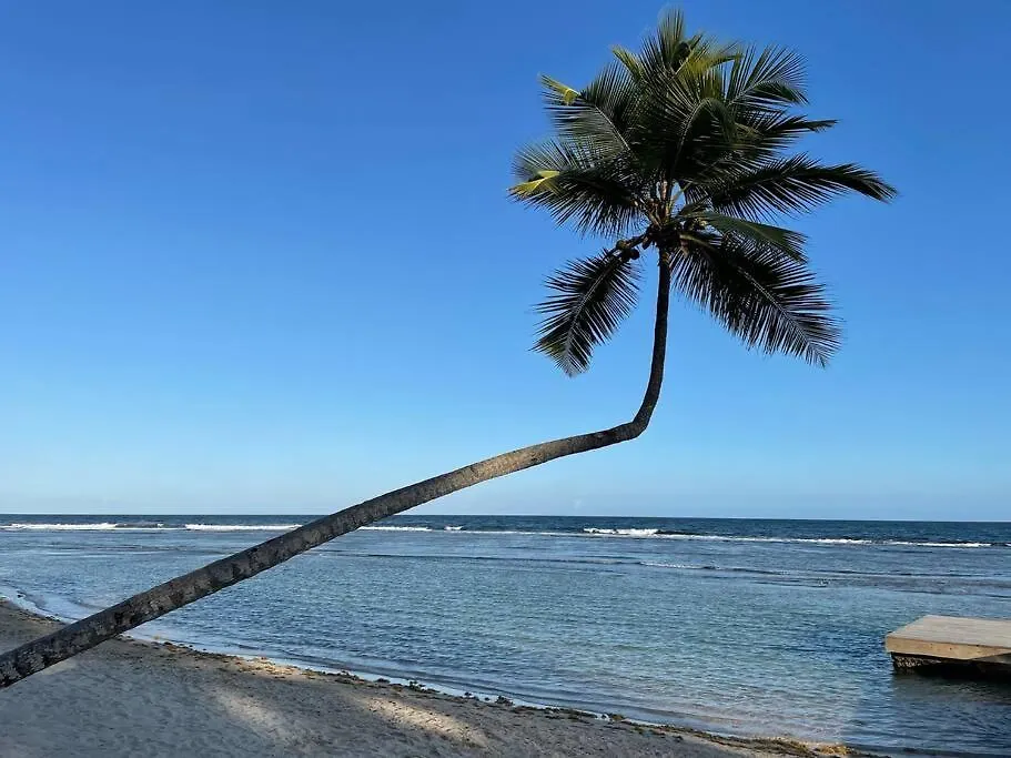 Apartment Aquarella Sunset Caribbean Beachfront Gataway Juan Dolio Dominican Republic